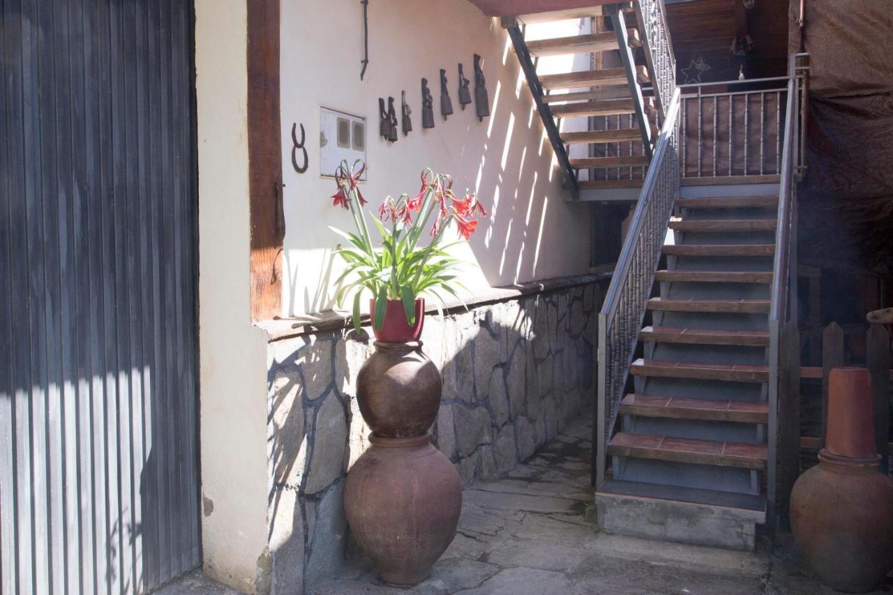 La Charca De La Dehesa Villa Casas del Monte Ngoại thất bức ảnh